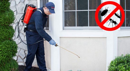 Yenice Dezenfeksiyon böcek ilaçlama ve haşere kontrolü — ilaclama-tr.com